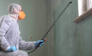Is It Safe To Hire A Mold Removal in Granada Hills Service