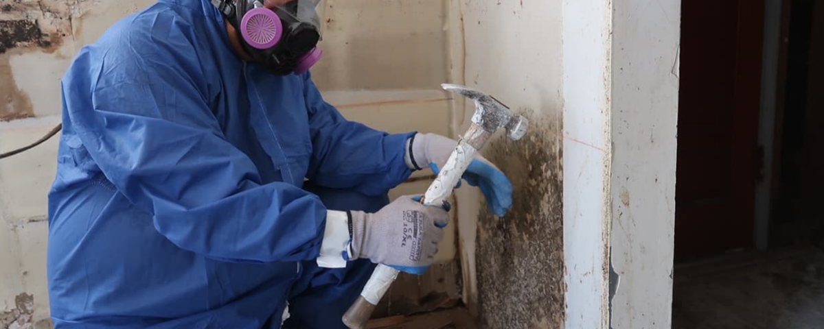 Is Mold Removal in Granada Hills A Safe Process