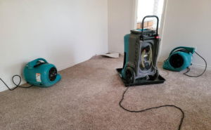 What Does A Water Damage Restoration In Granada Hills Do_