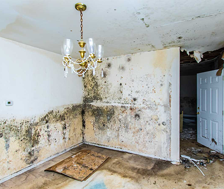 Real-Power-Water-Damage-Restoration-and-Mold-Clean-Up-projects-3.png
